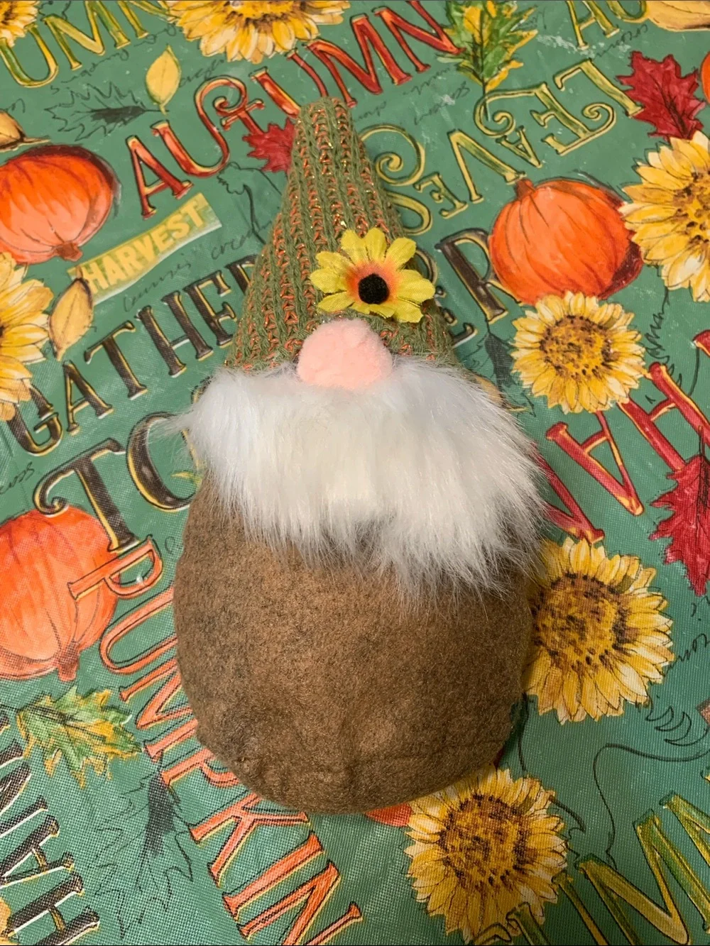 Sunflower Gnome Holding “You are my Sunshine” Sign and Brown Gnome